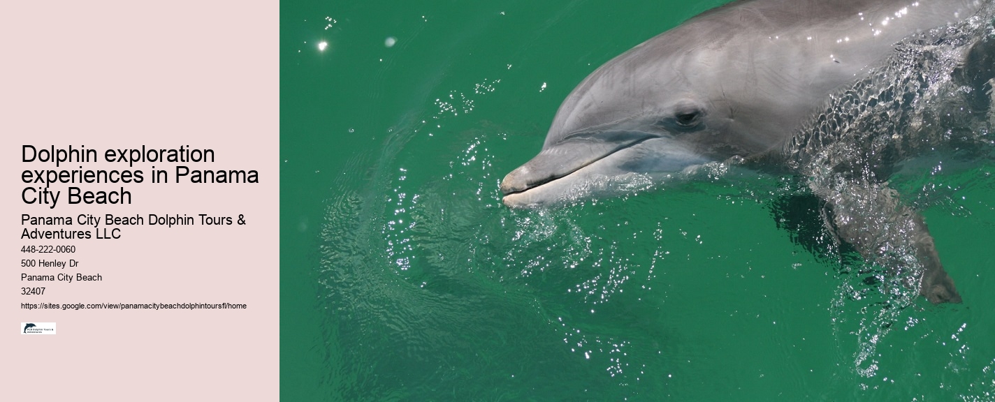 Dolphin sightseeing tours at Panama City Beach